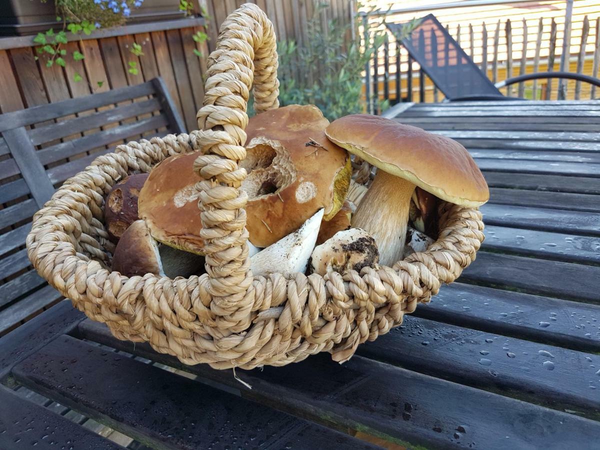 Appartamento Holzmichel Friedrichroda Esterno foto
